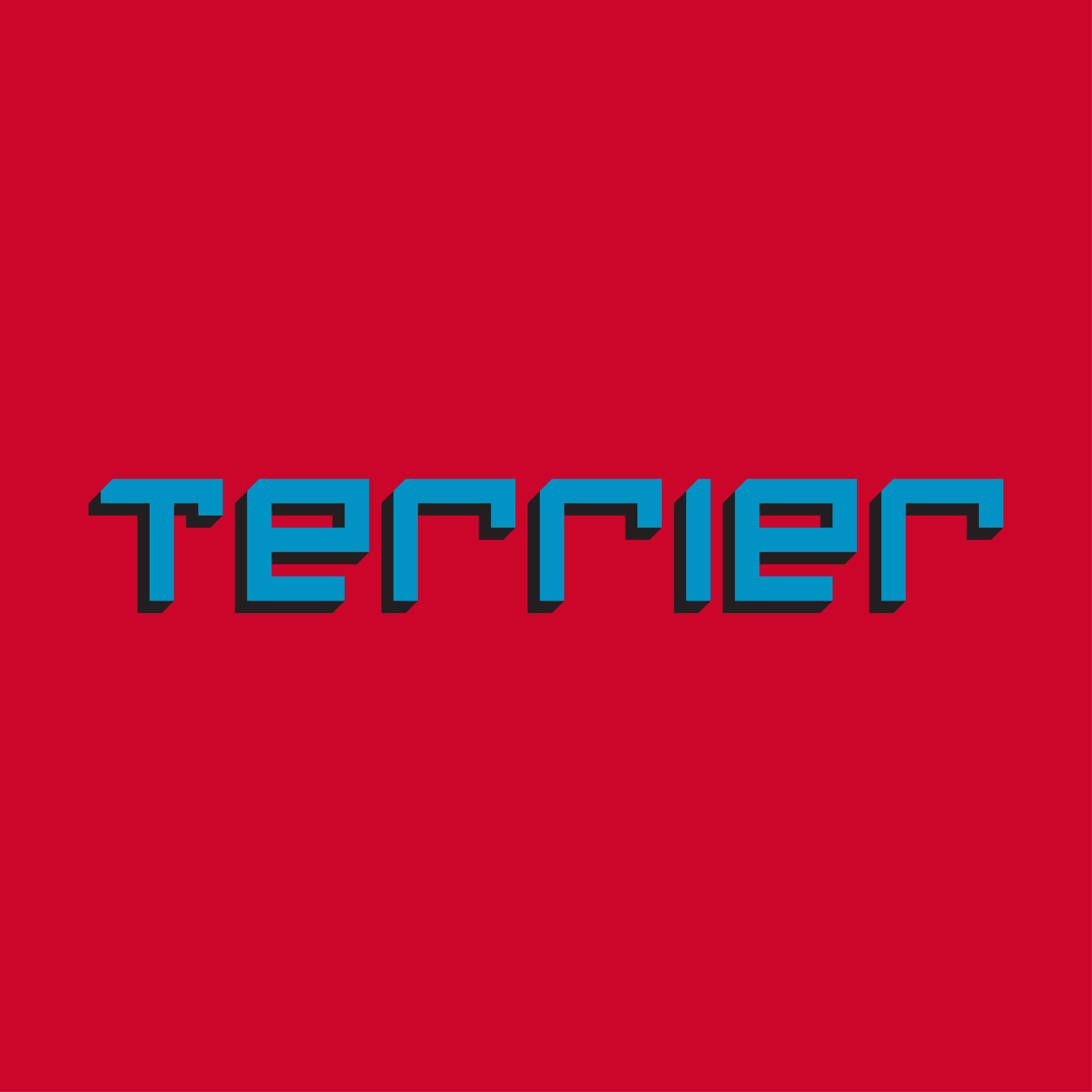 Terrier-Square